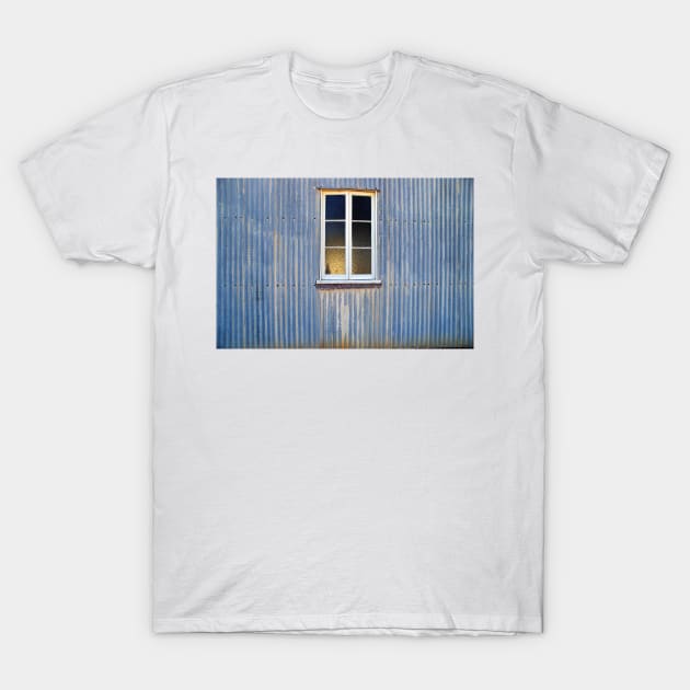 Window in a Corrugated Iron Wall T-Shirt by pops